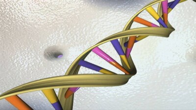Bats, cheetahs and hippos unlock mysteries of the human genome