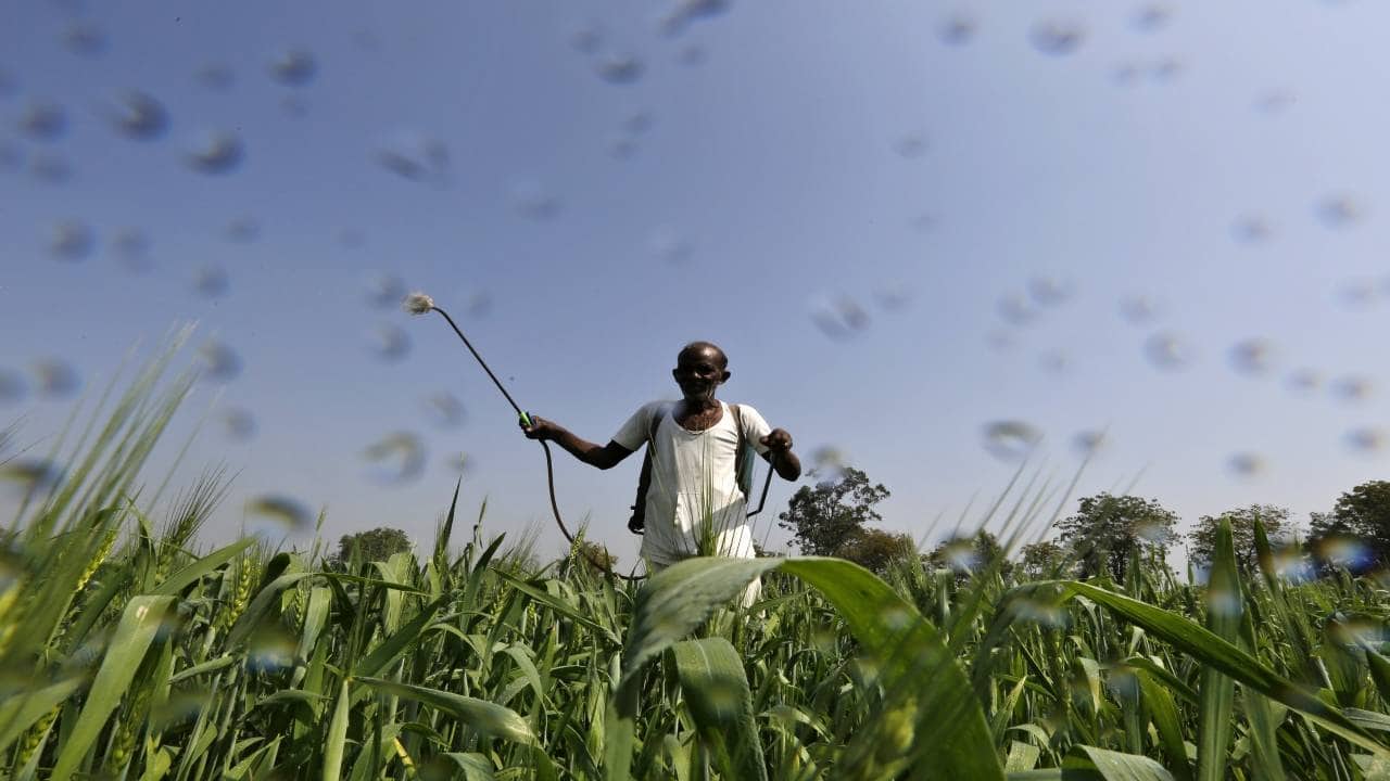Sharda Cropchem declines 5%, approves fund raising upto Rs 400cr