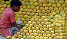 Mango production likely to drop 4.36% to 20.44 million tonne this year: Govt