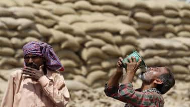 Madhya Pradesh updates labour laws: All you need to know about what has changed Madhya Pradesh updates labour laws: All you need to know about what has changed
