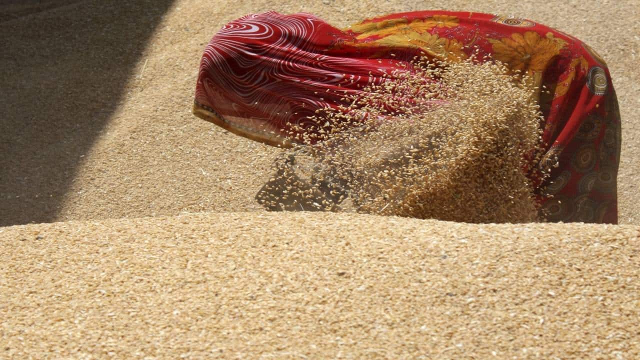 Wheat prices in India rise on export demand, surge in global market