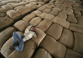 India's wholesale inflation rises to three-month high of 0.53% in March