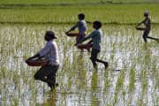 Cabinet approves Rs 37,952 crore for nutrient-based fertiliser subsidy