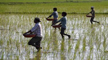 Faced with urea and fertiliser shortages again, is it time to reimagine our agrarian system?