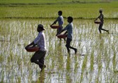 Faced with urea and fertiliser shortages again, is it time to reimagine our agrarian system?