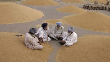 OPINION | For farmers to make money, the government should move out of procurement OPINION | For farmers to make money, the government should move out of procurement