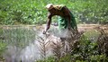 Middle East tensions may disrupt fertiliser supply chain, but industry says stocks adequate for now