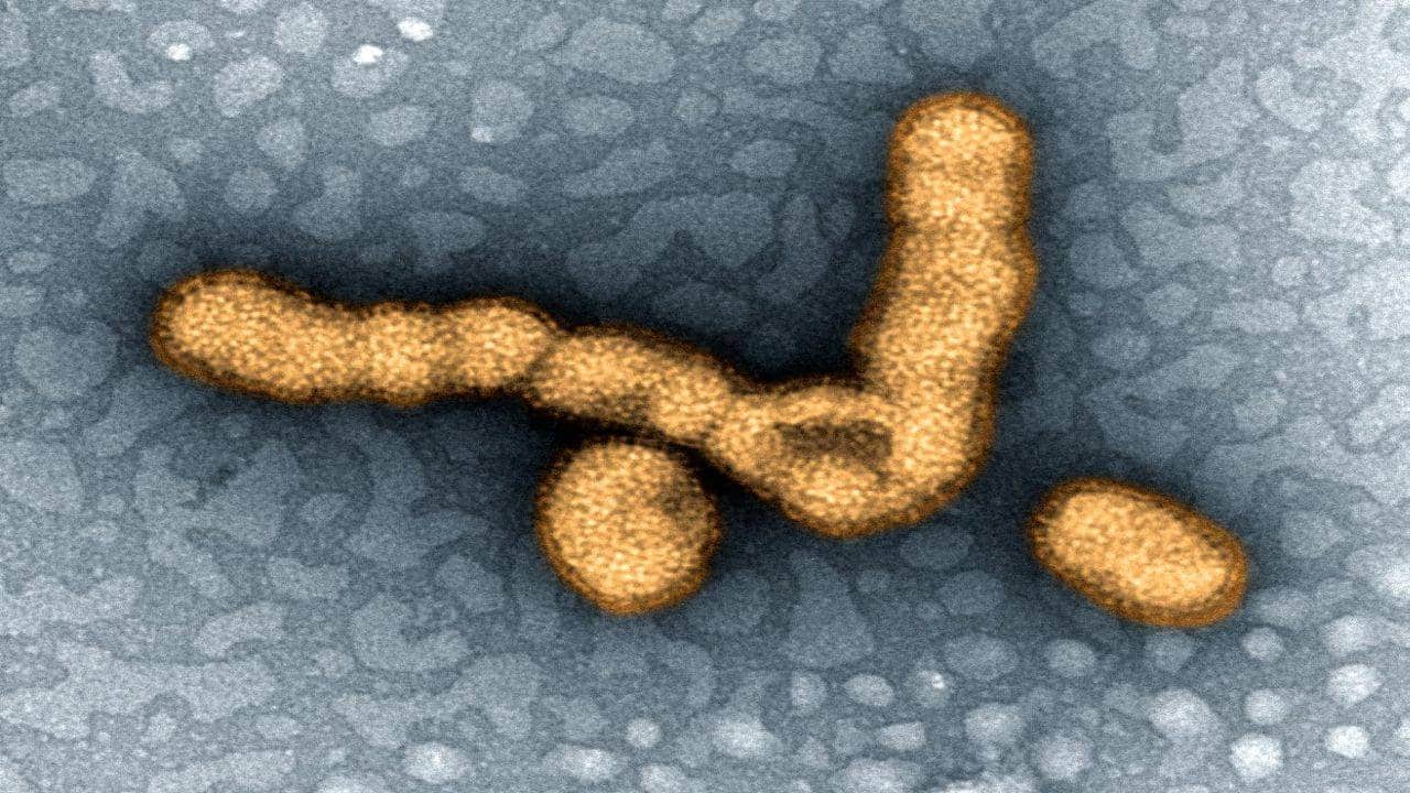 Hotel Influenza is paying $3,500 for staying and getting infected