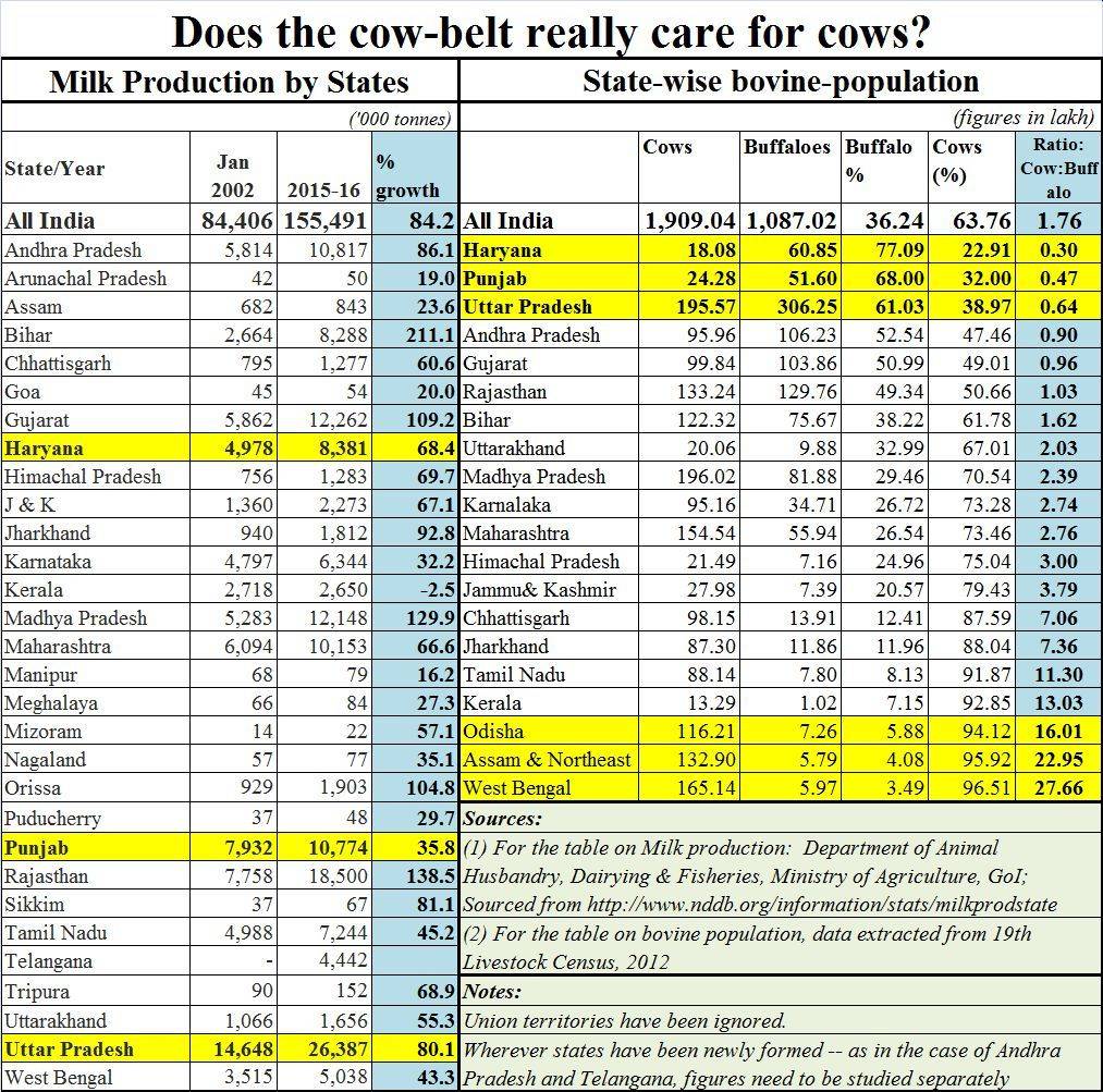 Milk-cattle-meat-people-1