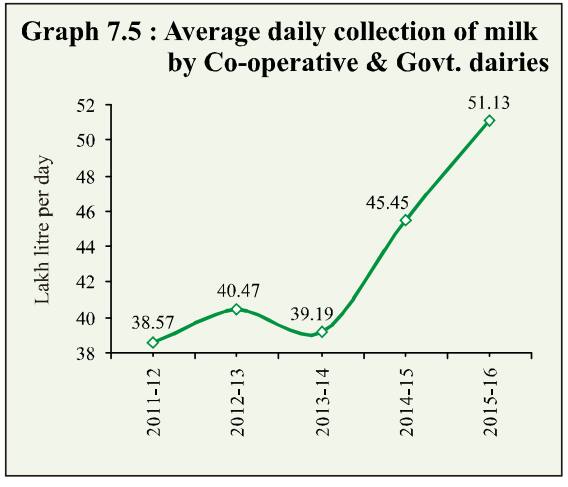 average daily production