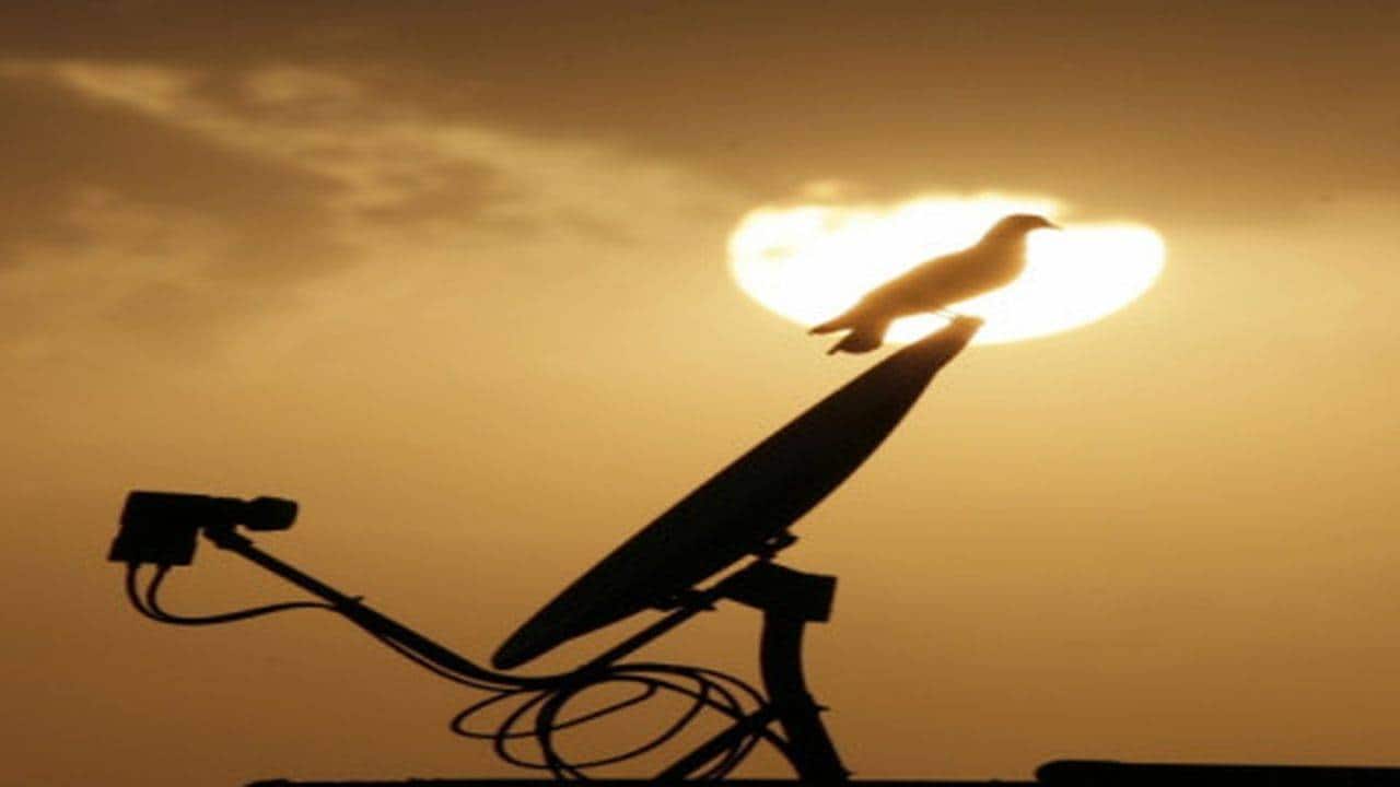 Sun TV Network rises 3%; Citi maintains buy with upside potential of 47%