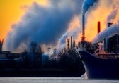 Green tribunal posts hearing for MoEF case on July 26