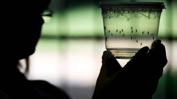 Earlier, Maharashtra had reported cases in the Zika virus in Pune and Palghar.