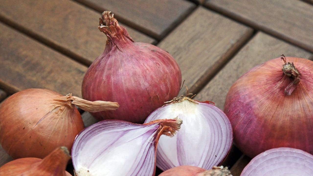 Onion prices in India increase on January rains, exports hit as well