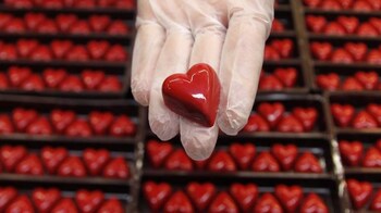 Indian device maker Meril Life Sciences joins big league with artificial  heart valve technology- Moneycontrol.com