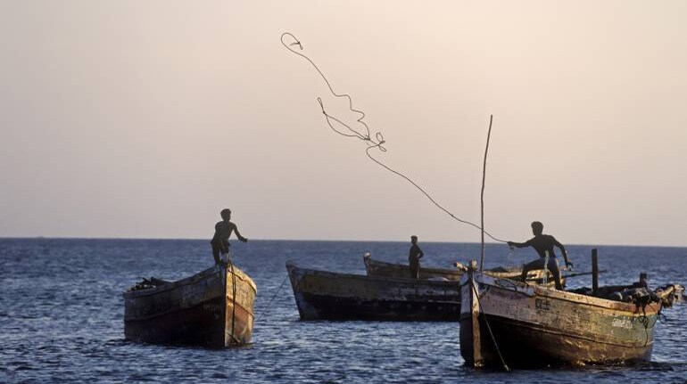 How Mumbai's fishers adapted in the lockdown, kept their sales alive