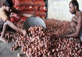 Average onion price in Delhi touches Rs 78 per kg; all-India average rate at Rs 50.35 per kg: Govt data