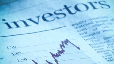 Shareholding data show retail investors continue to catch falling knives