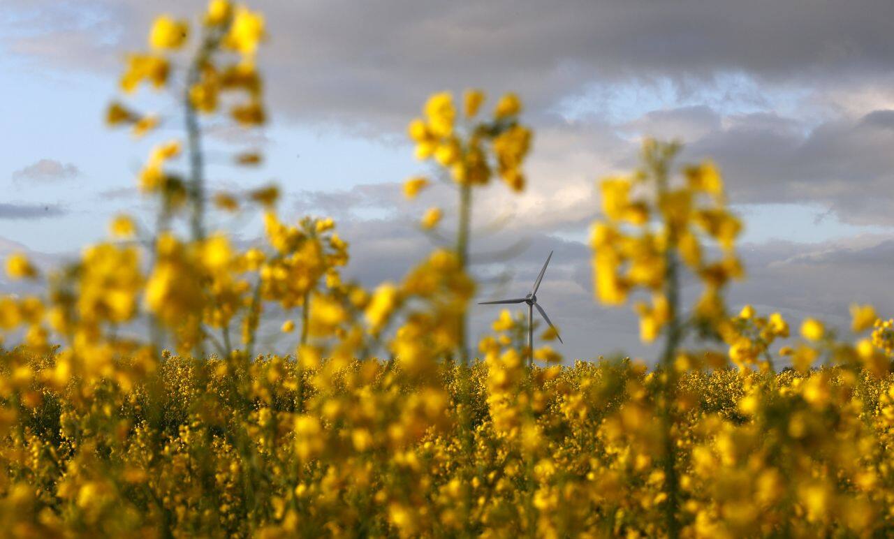 Inox Wind Energy: What does merger with parent IWL mean?