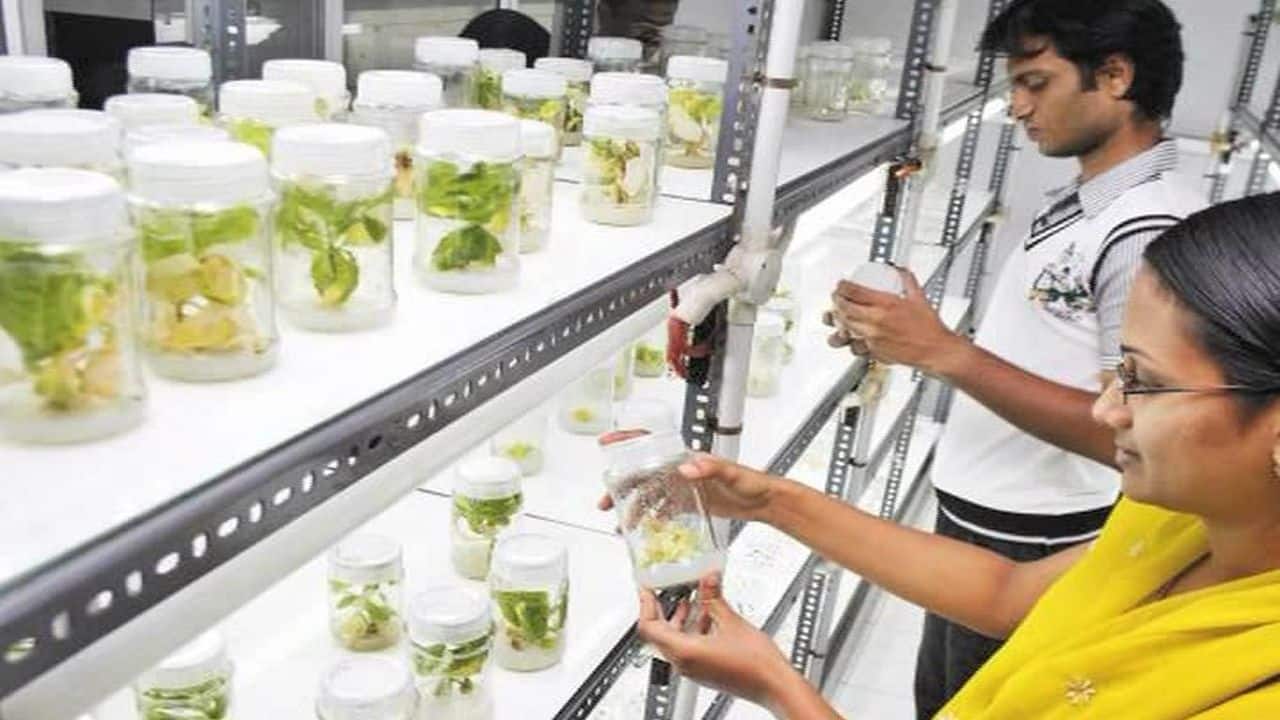'Textbook changing stuff': New type of photosynthesis discovered by scientists