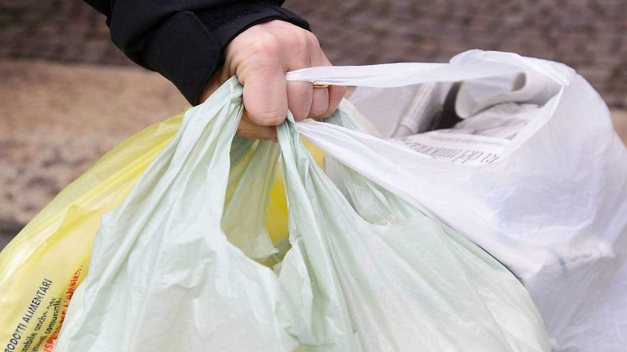 20 paper stocks up 10% since Aug 15. Will it hold?