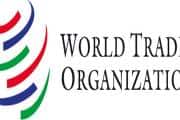 India urges WTO members to discuss ways to promote secure, interoperable digital infra for e-commerce India urges WTO members to discuss ways to promote secure, interoperable digital infra for e-commerce