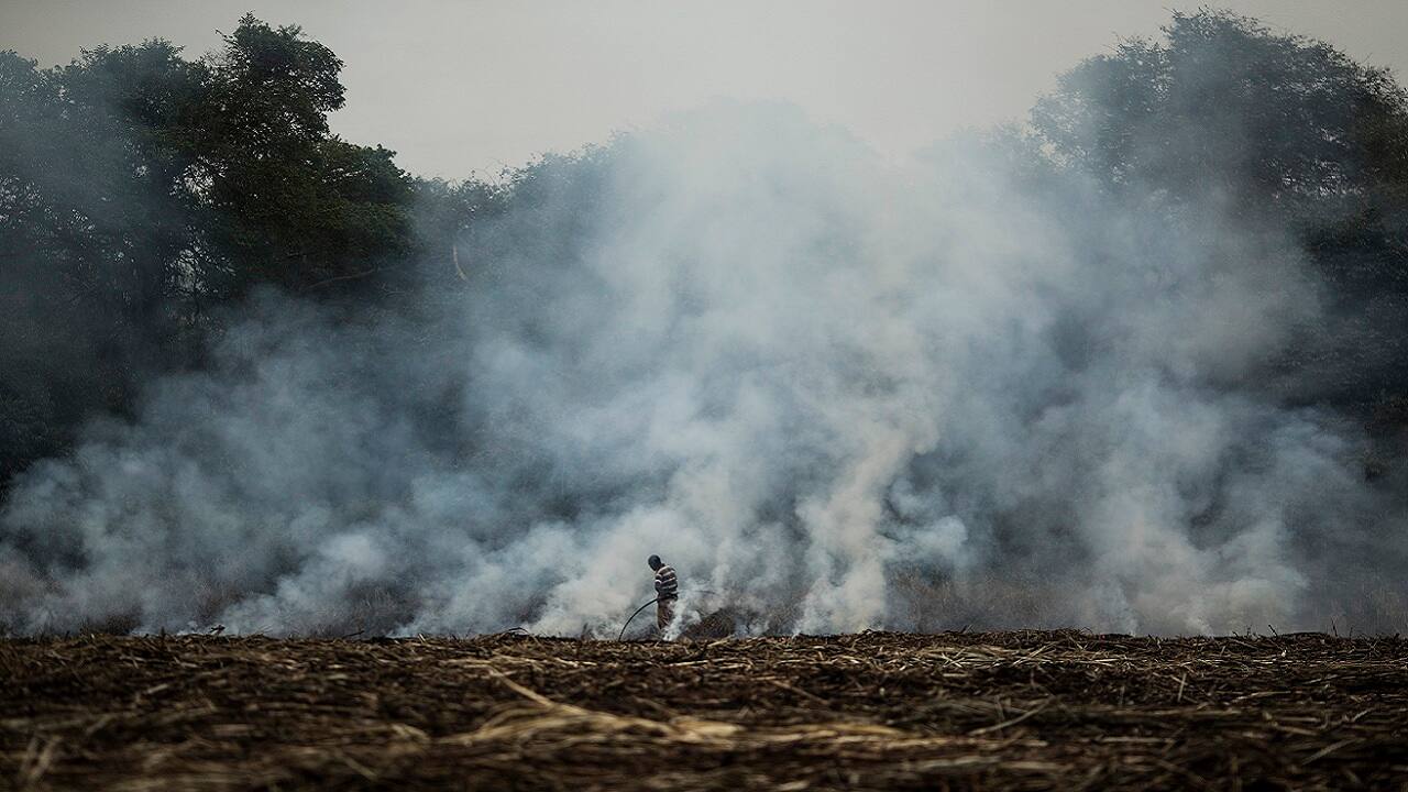 Air pollution worries resurface as crop burning by farmers continues unchecked Air pollution worries resurface as crop burning by farmers continues unchecked