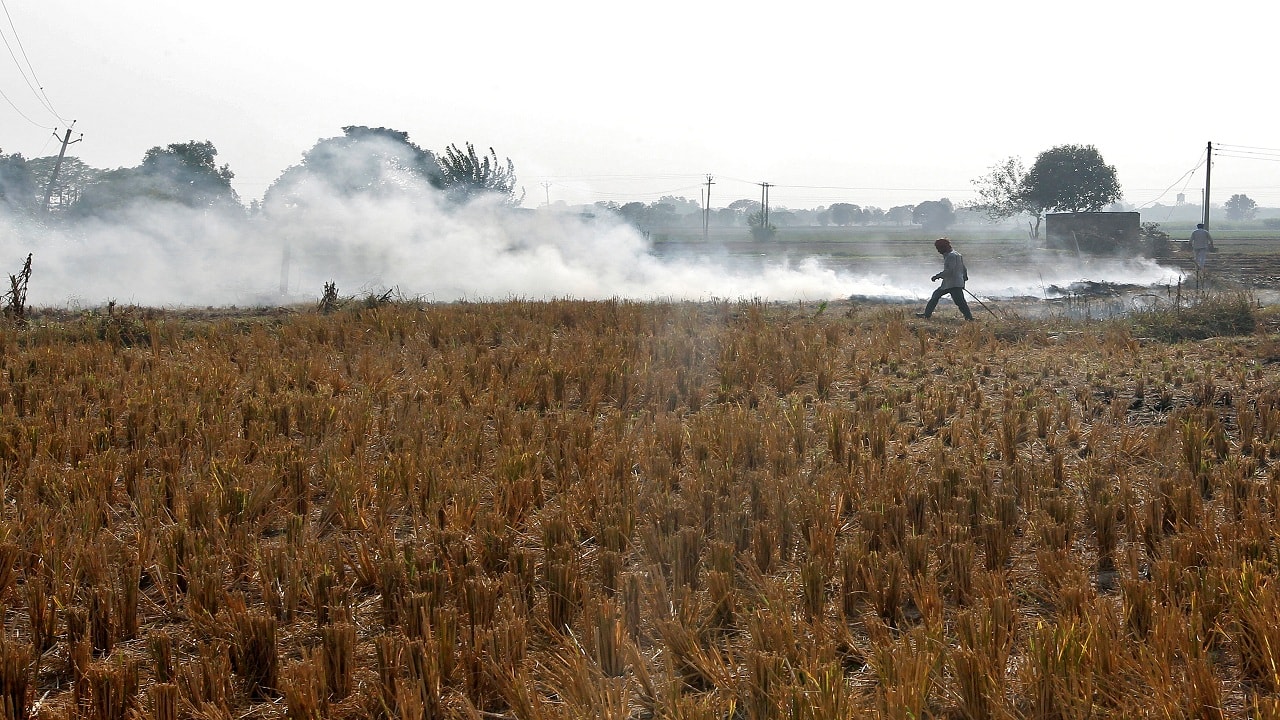 A man burns paddy waste stubble in a field on the outskirts of Chandigarh, India November 8, 2016. REUTERS/Ajay Verma - D1BEULQOFXAA