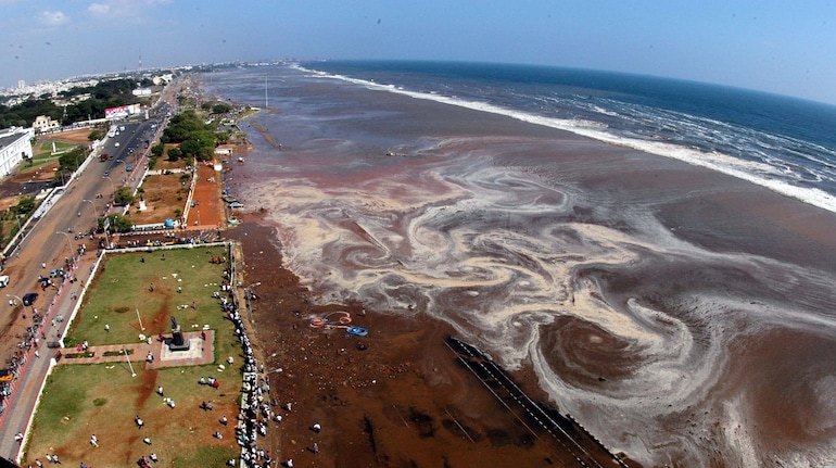 Marina beach (file photo)
