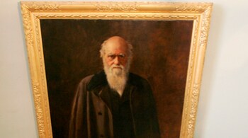 A member of staff walks under a portrait of Charles Darwin on show at an exhibition at Darwin's former home Down House, in Kent, southern England, on February 12, 2009. REUTERS/Tal Cohen (BRITAIN) - LM1E52C17DP01