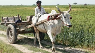 Opinion |How reckless states will hit stability and investment, which may spur higher rates