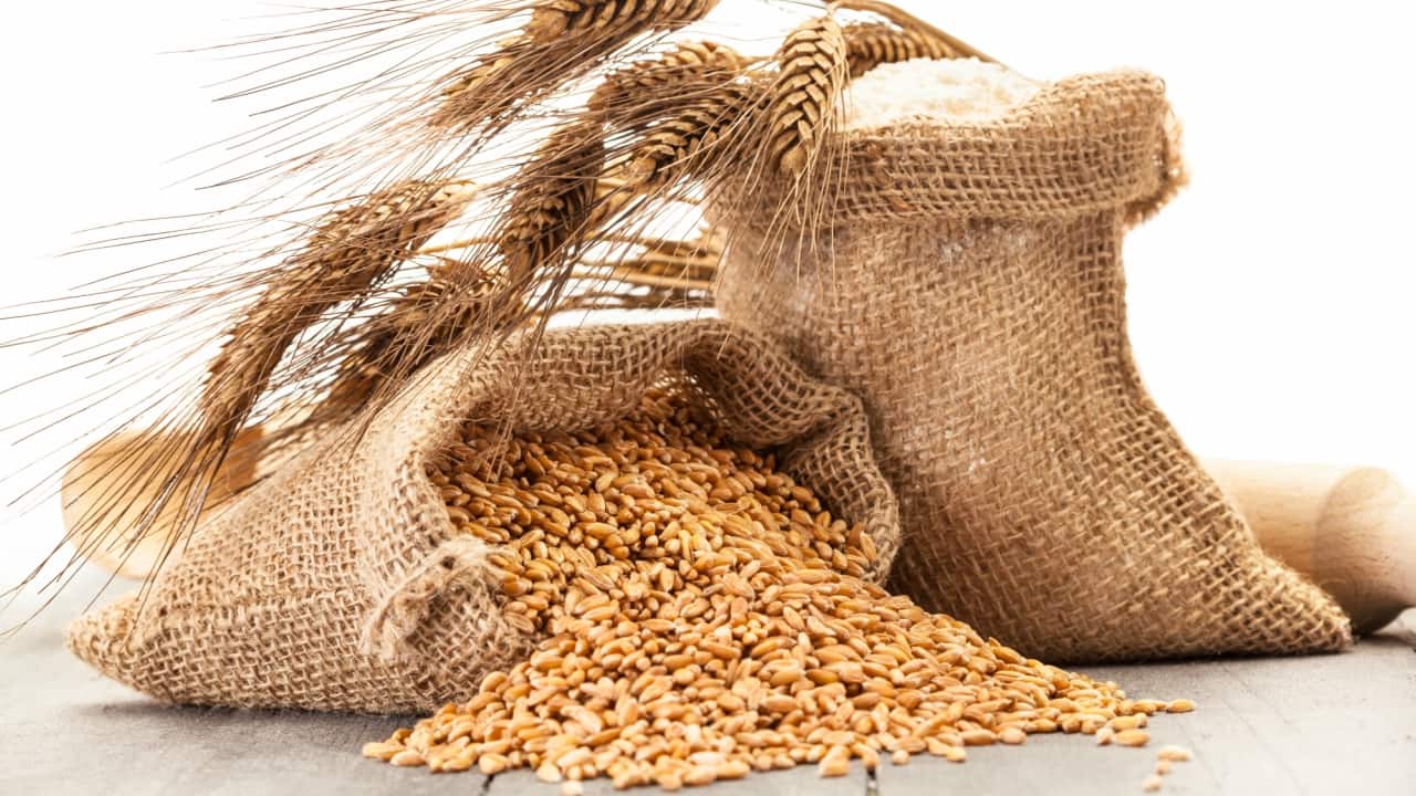 Hamstrung by labour shortage and logistical woes, agri supply network struggling for survival Hamstrung by labour shortage and logistical woes, agri supply network struggling for survival