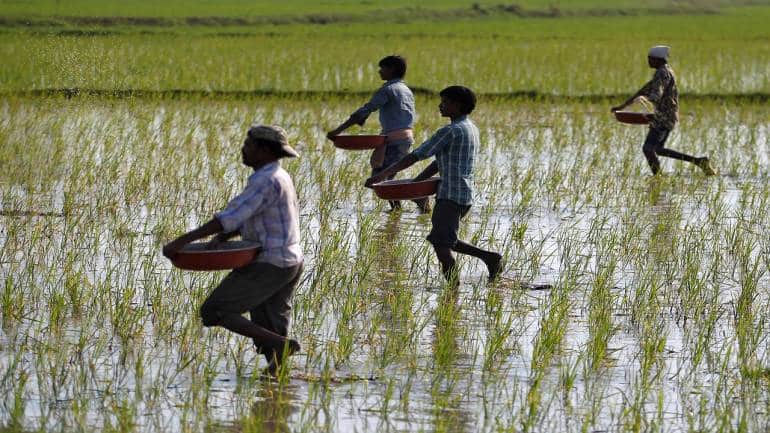 Fertilizers | India has nimbly tackled rising costs, but subsidy outgo remains a concern