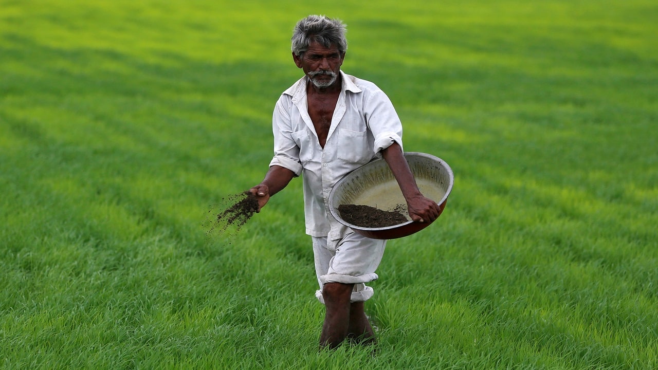 Rallis India: Weak quarter; better to avoid Rallis India: Weak quarter; better to avoid