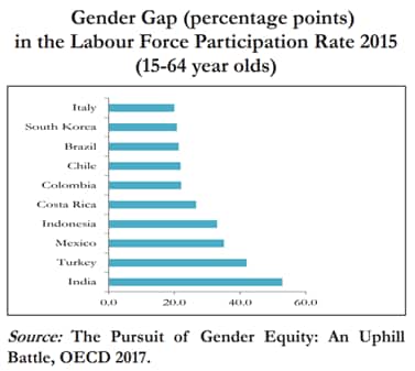 gender-economic survey-2018