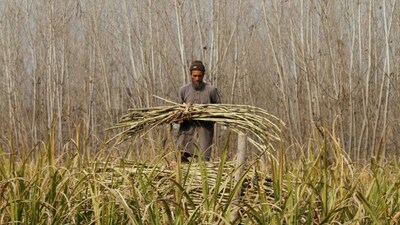 Sugar mills paid Rs 78,000 cr to cane farmers in H1 of 2023-24 season