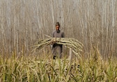 Govt starts negotiations with auto OEMs over new ethanol blending target for India