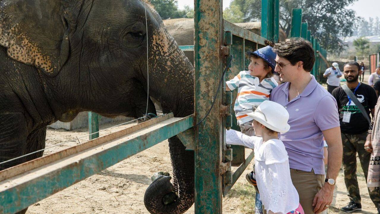 He later visited Wildlife SOS. “Wildlife SOS is doing important work rescuing captive Asian elephants across India, and giving them a new chance at life. Thanks for the very warm welcome at your sanctuary today,” he tweeted. (Twitter/Justin Trudeau)