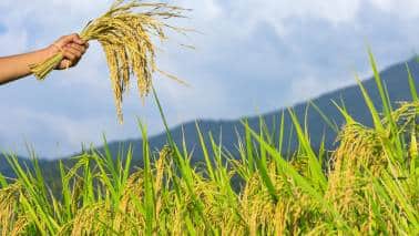 El Nino may complicate India’s inflation management