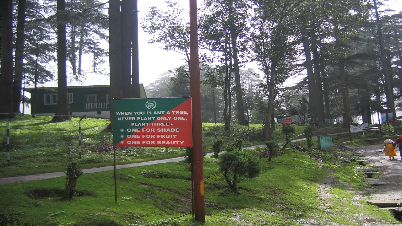 Tourists shift gaze to Jammu’s Patnitop as Kashmir's Gulmarg, Sonamarg hotels stand empty