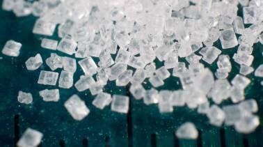 Opinion | Kicking its sugar addiction should be Modi govt's priority if it returns in May