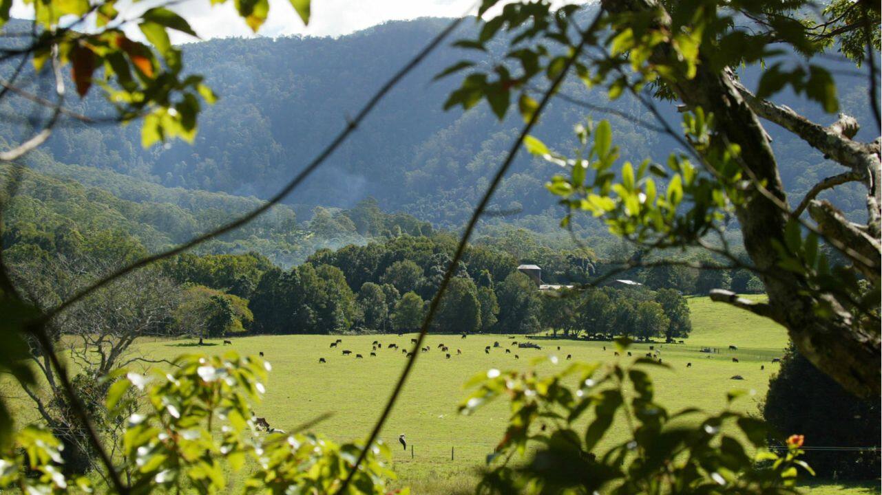 7. Guy Hands and shareholders | 5.7 million hectares | Terra Firma Capital partners owned by British investor Guy Hands runs Consolidated Pastoral Company which is Australia’s largest privately-owned beef producer and has 375,000 cattle at any time. The company owns 5.7 million hectares of land in the country. (Image: Reuters)