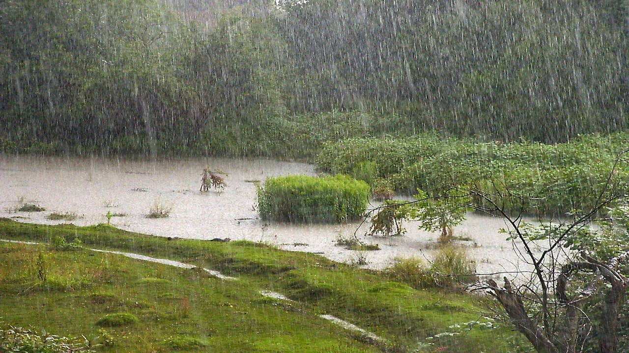 La Nina may lead to crop losses in Central, South-East Asia, Indian exports to gain