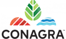 Conagra in talks to sell controlling stake in India biz Agro Tech Foods