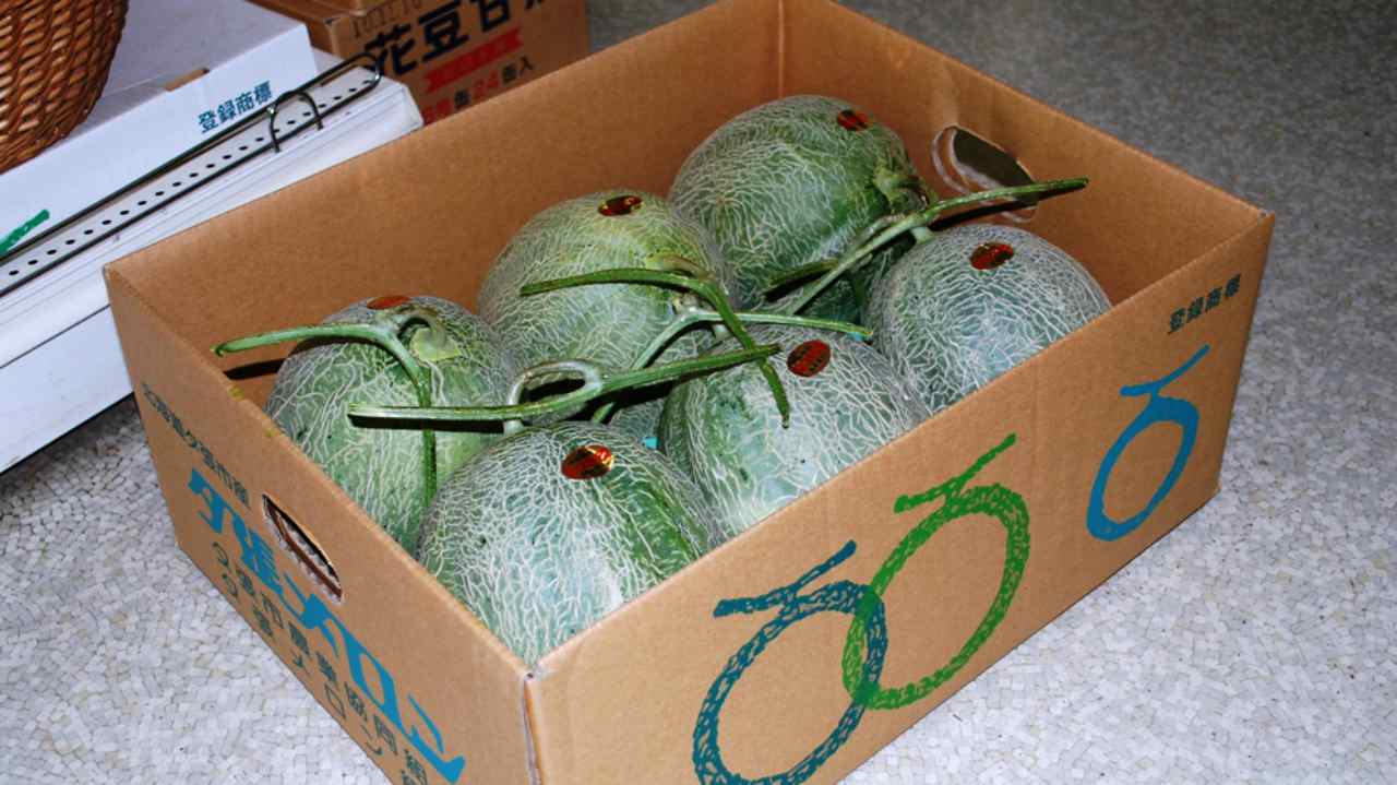 Pair of Yubari melons - a status symbol in Japan - auctioned for Rs 20 lakh
