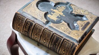 Which brand gets its name from a Biblical hero who had his strength in his long hair? (Image: Pixabay)