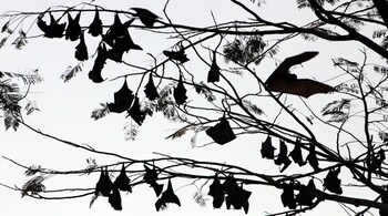 Representative image (Source: Reuters)