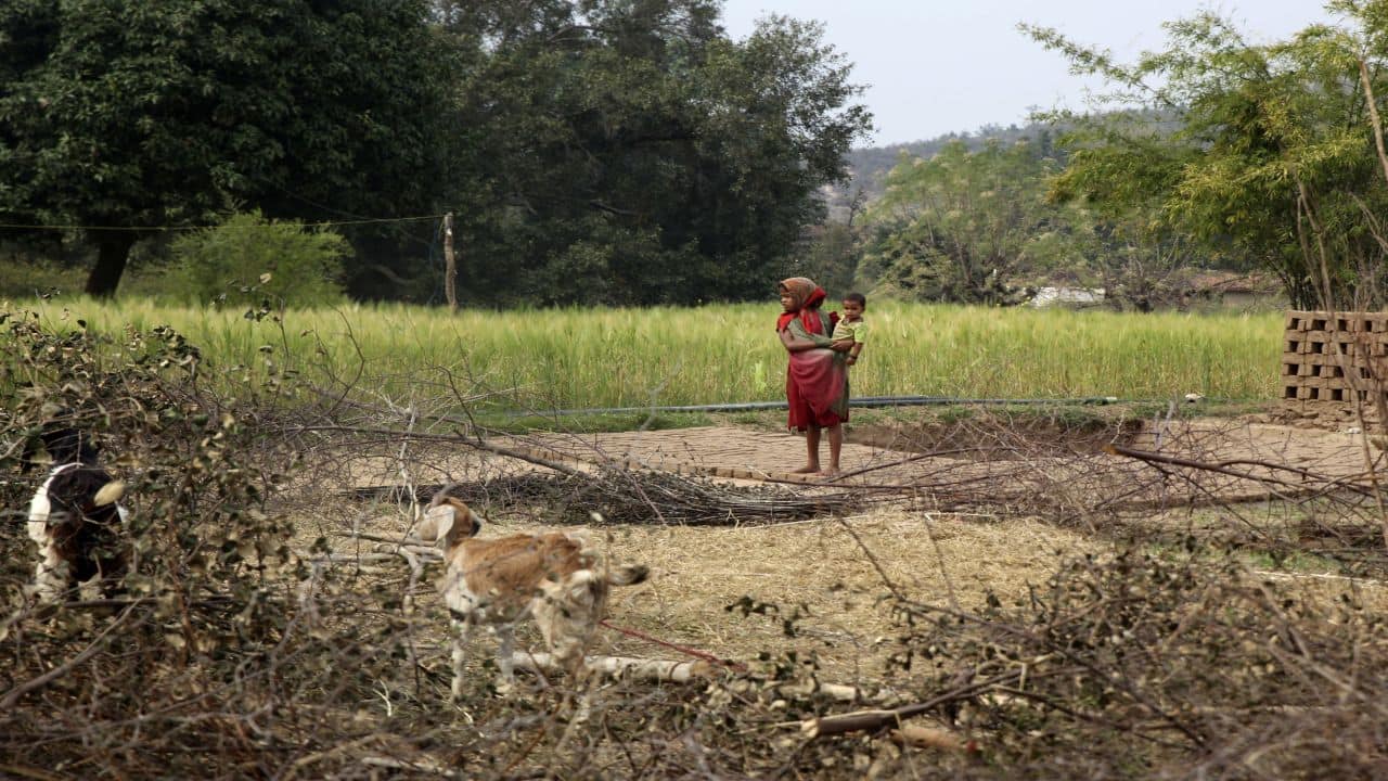 Study finds uneven utilisation of funds for important central government schemes in districts Study finds uneven utilisation of funds for important central government schemes in districts