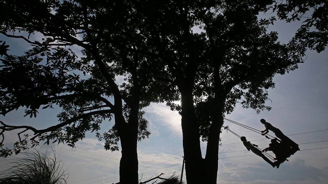 'Keep your hands off': Delhi HC asks NBCC & other agencies to stop cutting trees until July 4