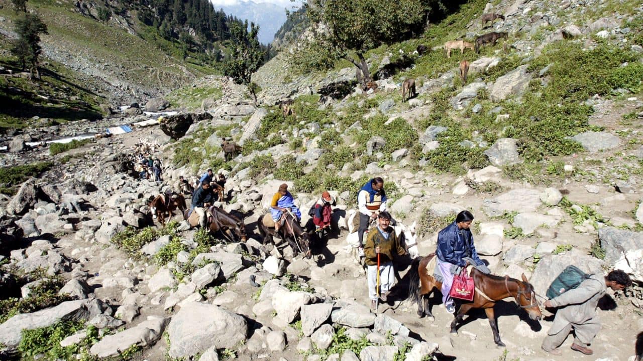 2 Amaranth Pilgrims Die, Toll In This Year's Pilgrimage Reaches 25